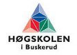 Hgskolen i Buskerud